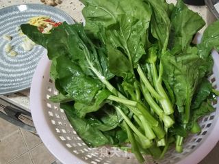 小巷深处的芥兰味蕾惊喜，最新芥兰尝鲜指南