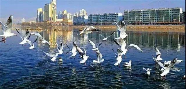 最新乘车政策解读，未来出行规则详解